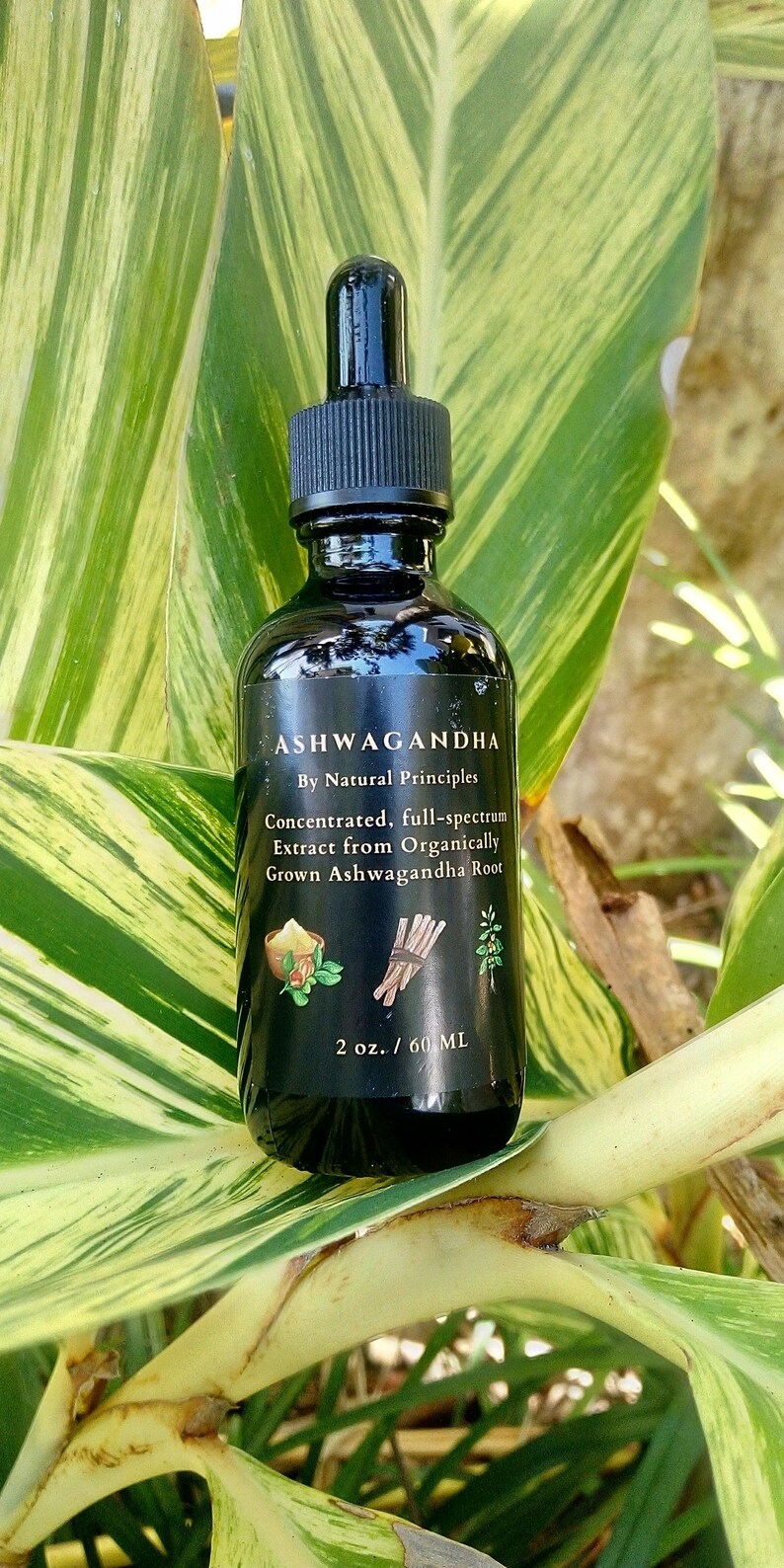 Organic Ashwagandha Concentrated Tincture 2 oz: Pure, Potent, & Balanced Extract. image 4