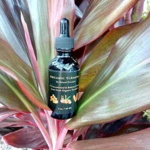 Organic Turmeric Tincture: Concentrated Multiple Times For More Potency. 4oz.