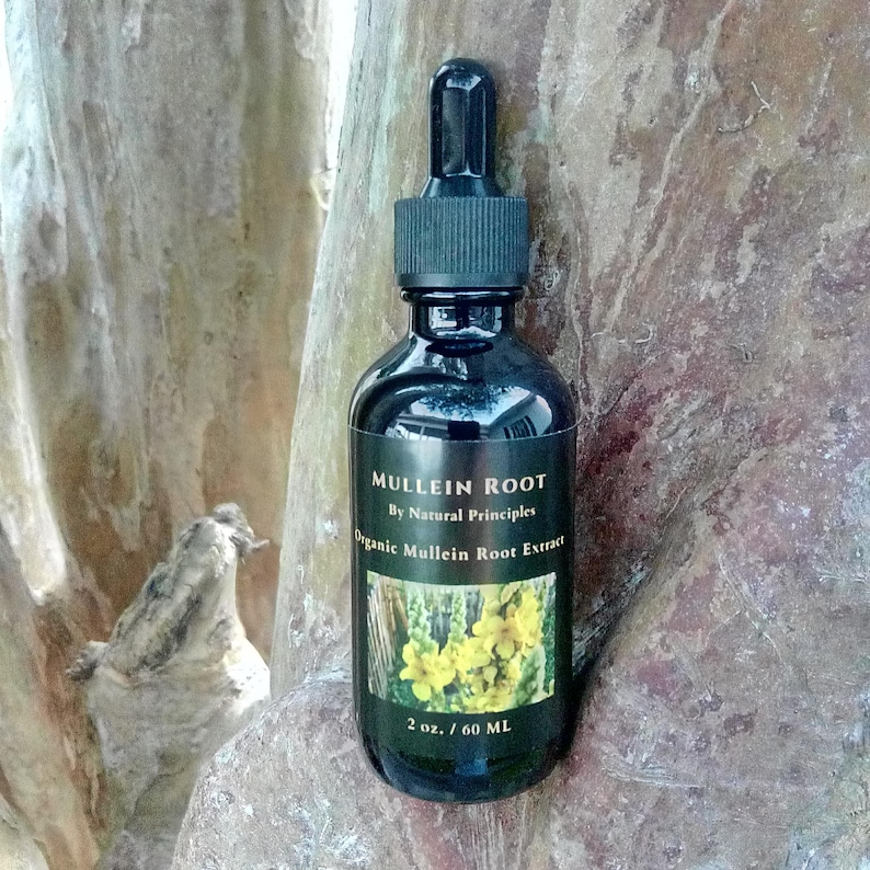 Powerful Mullein Root Tincture Organic. We Do Multiple Concentrations ...