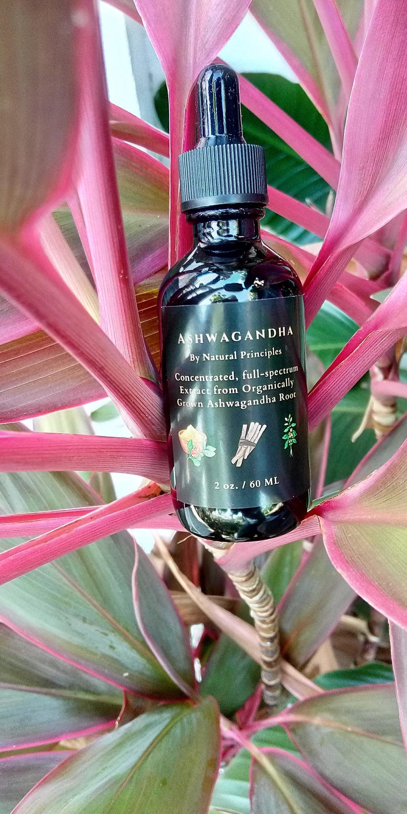 Organic Ashwagandha Concentrated Tincture 2 oz: Pure, Potent, & Balanced Extract. image 2