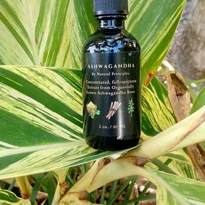 Potent organic ashwagandha tincture. Wildcrafted, organic ashwagandha extract 4 oz.