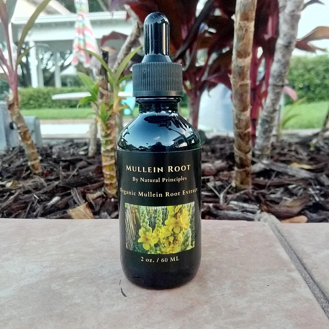 Powerful Mullein Root Tincture Organic. We Do Multiple Concentrations ...