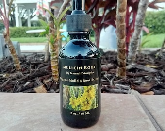 Powerful Mullein Root Tincture Organic. We Do Multiple Concentrations For Higher Potency.  2oz
