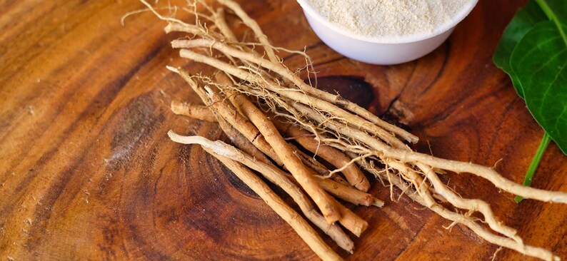 May include: Close-up of ashwagandha roots and powder in a white bowl on a wooden surface. The roots are light brown and beige, with a fibrous texture. A green leaf is visible in the background.