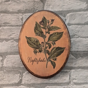 May include: A round wooden sign with a brown background and a green nightshade plant illustration. The sign has the word "Nightshade" written in cursive on the bottom.