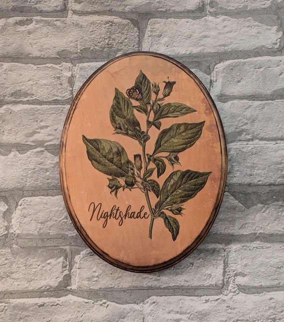 Vintage Nightshade Plant Kitchen Herb Wall Art - Wood Wall Plaque - 1887 Köhlers Botanical Sketches - Deadly Belladonna Wooden - Handmade