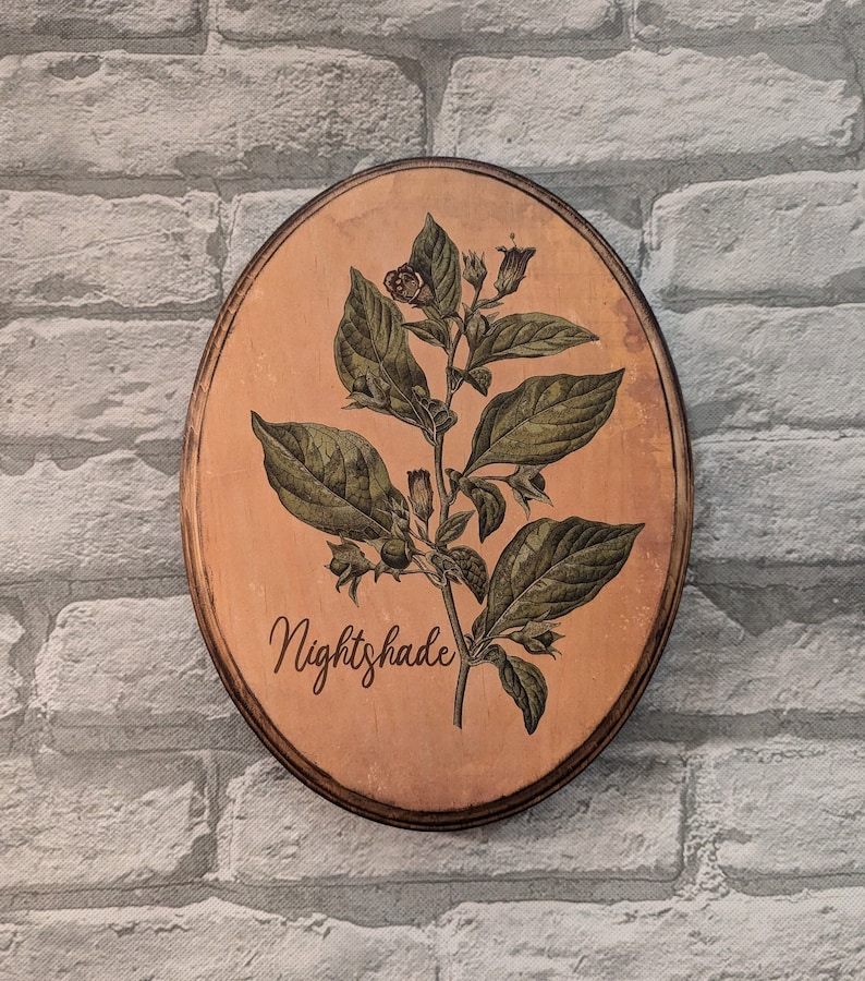 May include: A round wooden sign with a brown background and a green nightshade plant illustration. The sign has the word "Nightshade" written in cursive on the bottom.
