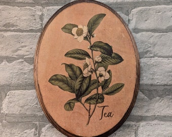 Vintage Tea Plant Kitchen Herb Herbal Wall Art - Wood Wall Plaque - 1887 Köhlers Botanical Sketches - Wooden Sign - Handmade
