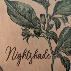 May include: A close-up of a wooden sign with a botanical illustration of a nightshade plant. The plant has green leaves and purple flowers. The word "Nightshade" is written in cursive on the sign.