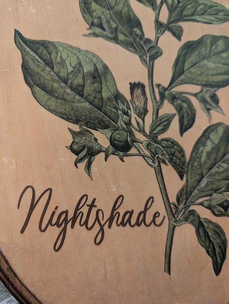May include: A close-up of a wooden sign with a botanical illustration of a nightshade plant. The plant has green leaves and purple flowers. The word "Nightshade" is written in cursive on the sign.