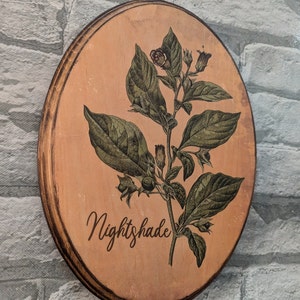 May include: A round wooden sign with a brown background and a green nightshade plant illustration. The text "Nightshade" is printed in brown cursive lettering below the plant.