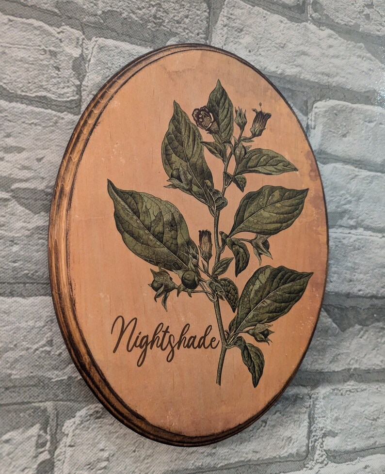 May include: A round wooden sign with a brown background and a green nightshade plant illustration. The text "Nightshade" is printed in brown cursive lettering below the plant.