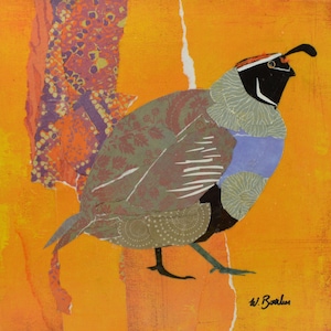 California Quail, An Unframed Fine art print (not a cheap poster), by Wendy Boucher, 10x10”