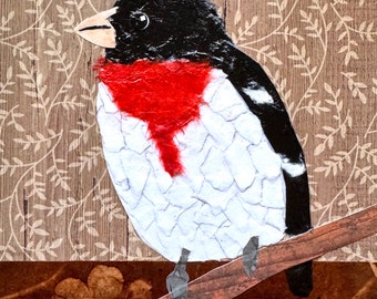 Paper collage art, Rose-Breasted Grosbeak, by Wendy Boucher, 6x6”, bird art