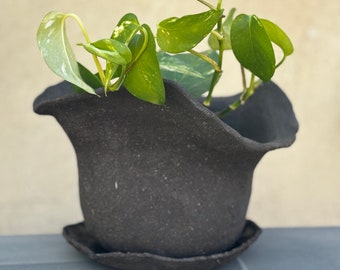 Curvey and Organic Planter | Ceramic Plant Pot | Indoor Planter | Succulent planter