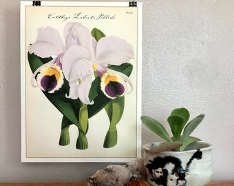 Cavallini and Co. Orchid Print Poster - Display as Wall Art! (Pl. 121)