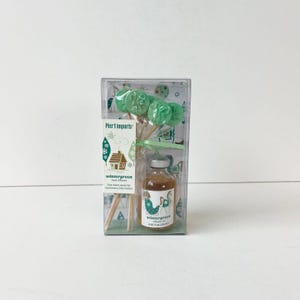 May include: A clear plastic box containing a wintergreen reed diffuser set. The set includes a small glass bottle with a label, green lollipops, and wooden sticks. The label reads "wintergreen" and "Pier 1 Imports".