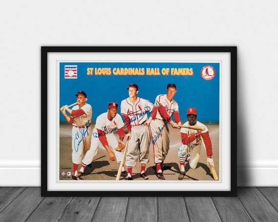 1950's ST. LOUIS CARDINALS Print Vintage Baseball 