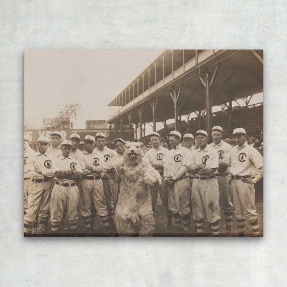 WRAPPED CANVAS 1908 Chicago CUBS Print Vintage Baseball 