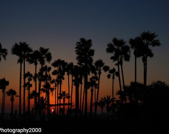 Sunset Photo Print, Mounted Summer Print, Cyprus Print, Landscape Print, Beach Print, Palm Tree Photography Print