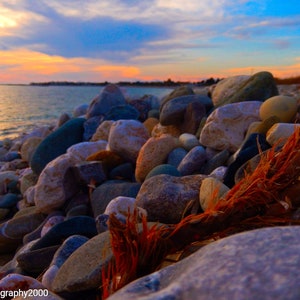 Könnte beinhalten: Nahaufnahme eines felsigen Strandes bei Sonnenuntergang. Die Felsen sind in verschiedenen Farben, darunter grau, braun und weiß. Im Vordergrund befindet sich ein Stück Treibholz.