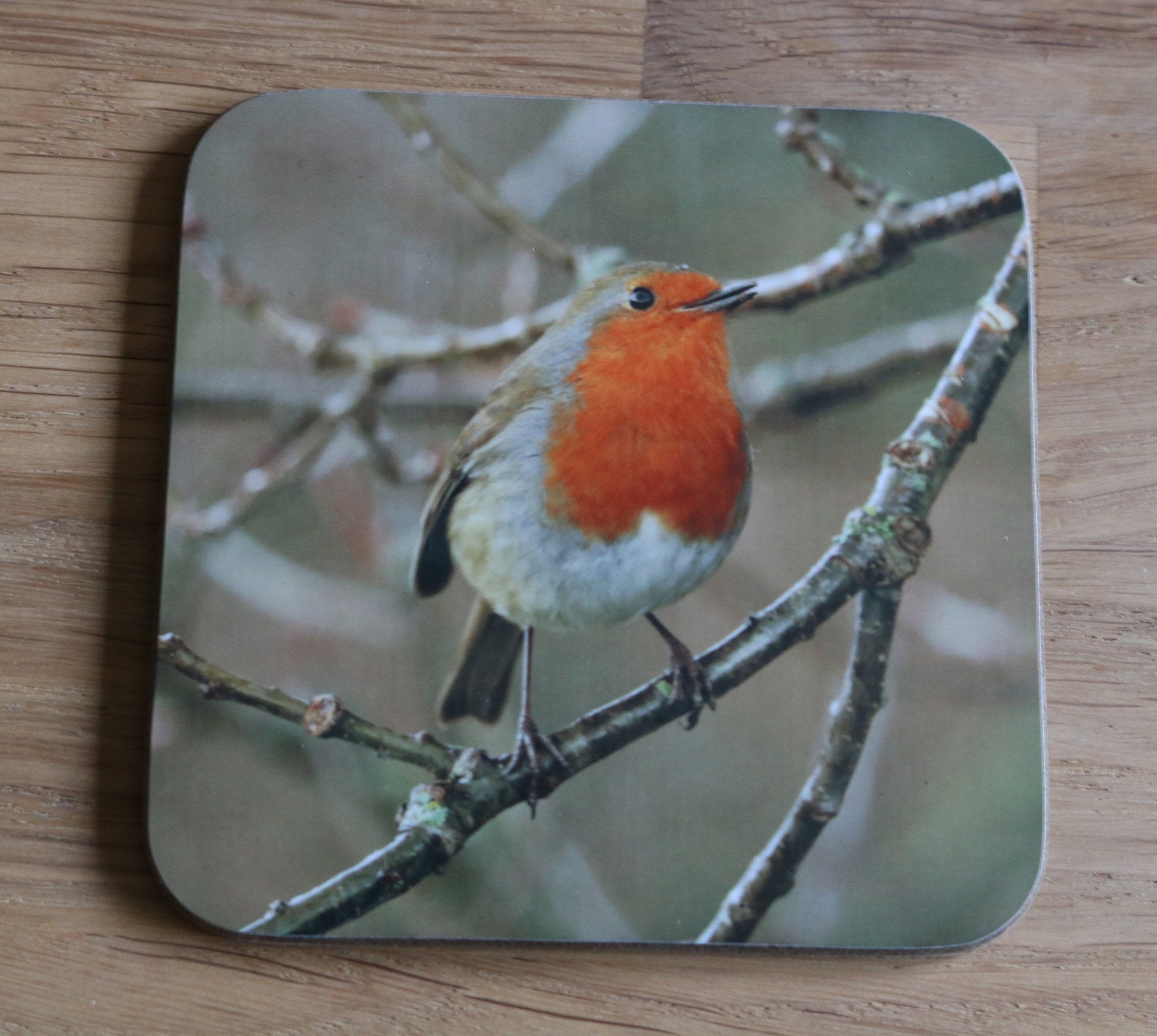 Robin Mug Coaster Robin in the Rain Photo Coaster Drinks Etsy UK