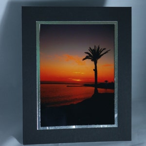 May include: A framed photograph of a palm tree silhouetted against a vibrant orange sunset over a body of water.