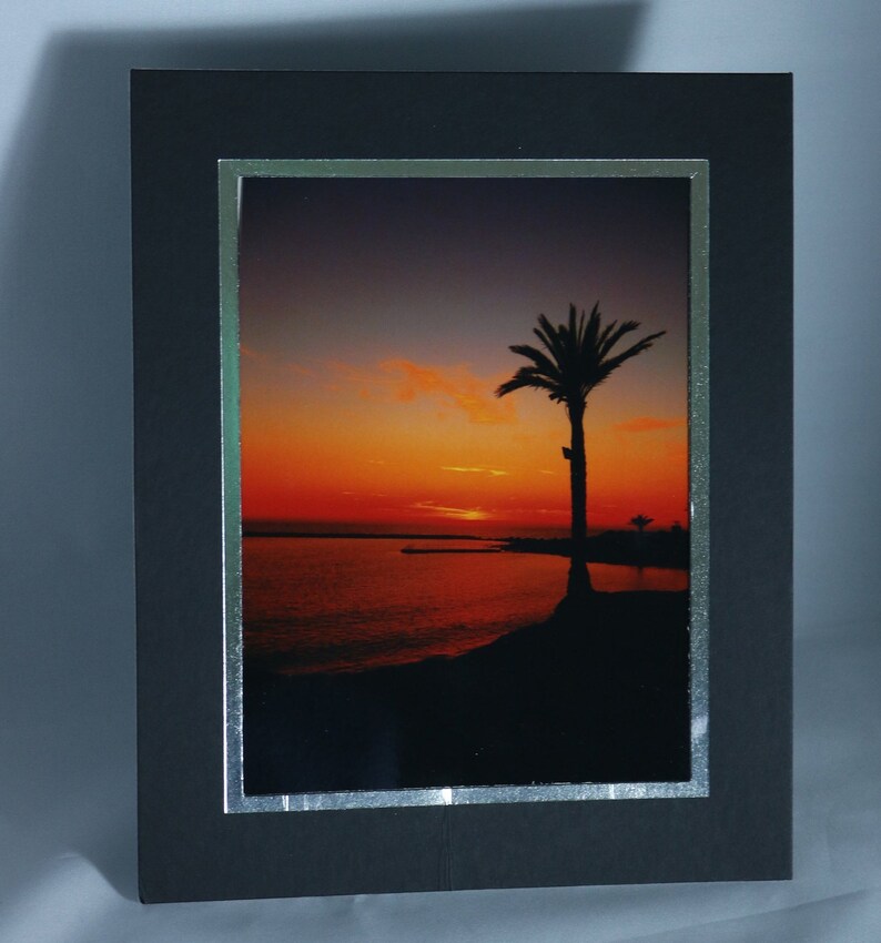 May include: A framed photograph of a palm tree silhouetted against a vibrant orange sunset over a body of water.