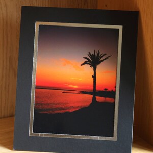 May include: A framed photograph of a palm tree silhouetted against a vibrant orange and red sunset over a body of water.