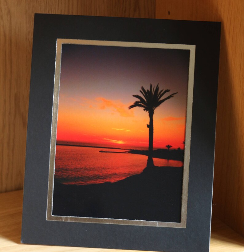 May include: A framed photograph of a palm tree silhouetted against a vibrant orange and red sunset over a body of water.