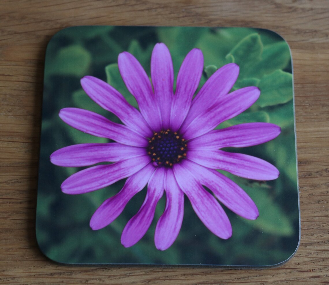 Flower Coaster Purple Flora Mug Coaster Floral Photo Drinks Etsy UK