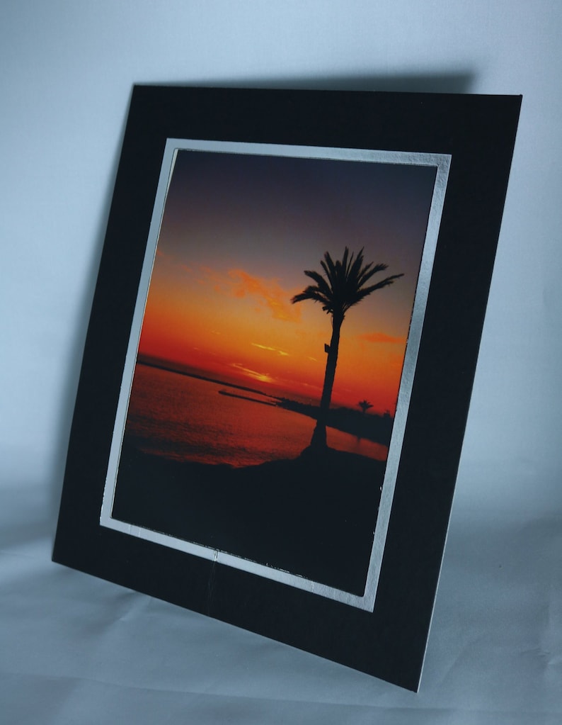 May include: A black framed photograph of a palm tree silhouetted against a sunset over a body of water.