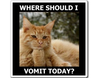 May include: A square sticker featuring a fluffy orange cat resting its chin on its paw with a thoughtful expression. The text WHERE SHOULD I is printed in white at the top, and VOMIT TODAY? is printed in white at the bottom on a black border.