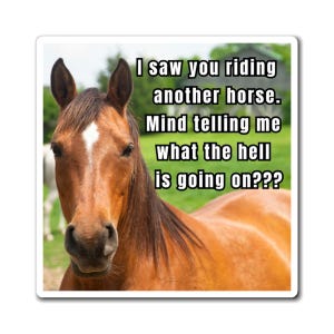 Funny horse magnet, great gift for horse lover, magnet for refrigerator, kitchen decoration and office magnet, funny gift for horse owners
