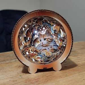 Cat wooden light up box display - night light