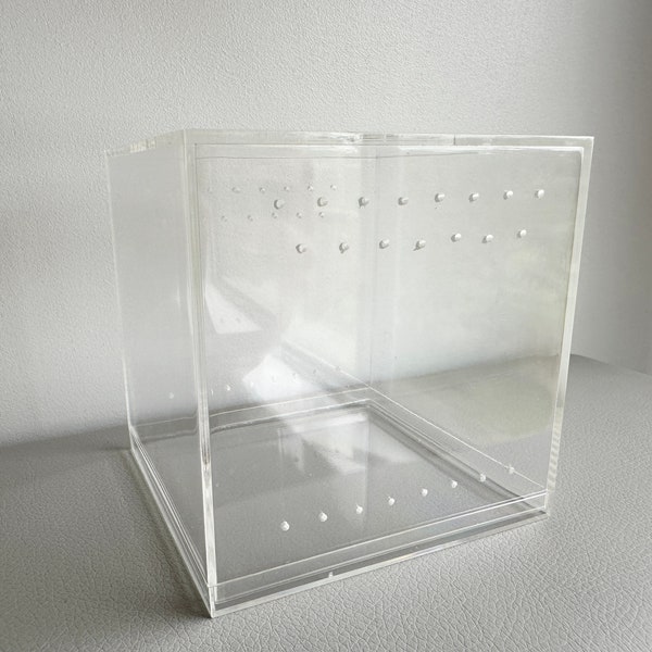 Medium Jumping Spider Enclosure Pre Drilled Holes 4 Inch Square Clear Acrylic Box Empty Undecorated Blank Sling House
