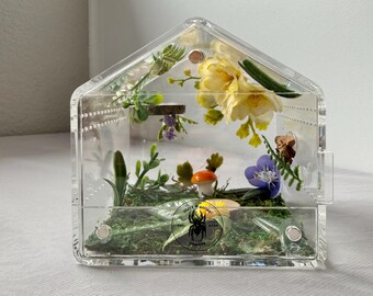 House Shaped Jumping Spider Enclosure Decorated Natural Aesthetic Flowers Moss Cork Bark Front Opening Magnetic Acrylic