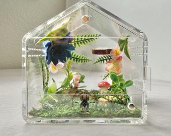 House Shaped Jumping Spider Enclosure Decorated Natural Aesthetic Flowers Moss Cork Bark Front Opening Magnetic Acrylic