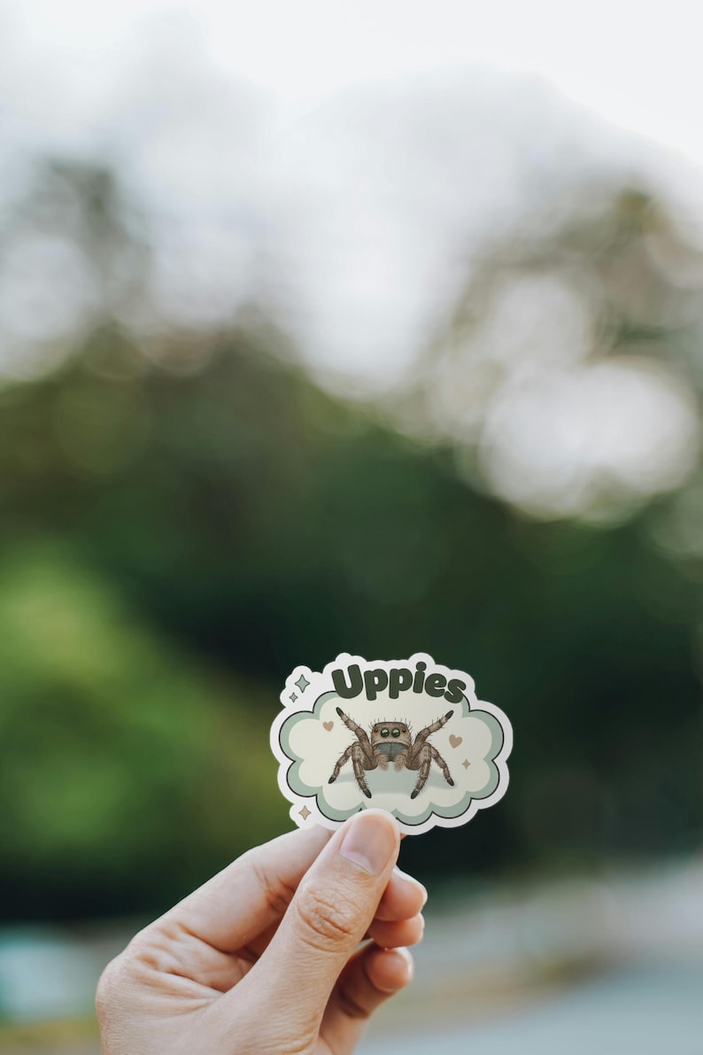 May include: A sticker with a cartoon jumping spider and the word "Uppies". The spider is brown and grey, with its legs spread. The sticker is on a cloud-shaped background with small hearts.