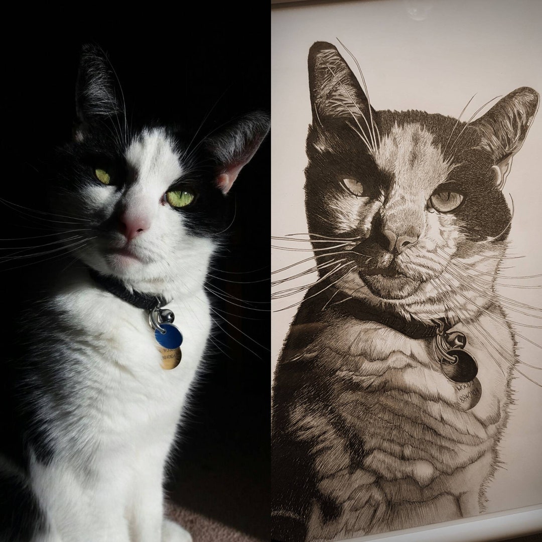 Custom Hand Drawn Pet Animal Portrait Picture Gift - Etsy