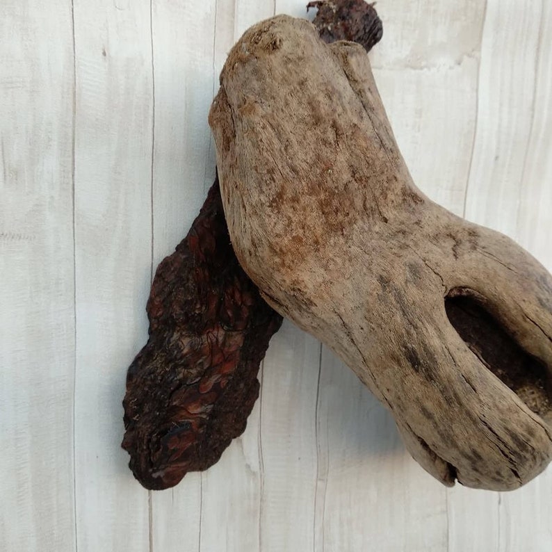 Driftwood wall sconce Sconce light Driftwood wall lamp Etsy