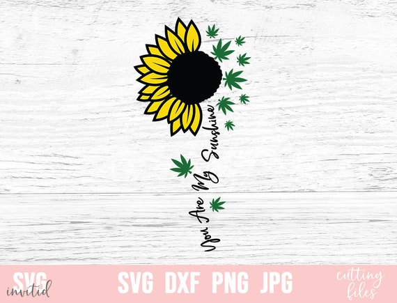 Download You are My SunShine Svg, Weed Svg, Sunflower Svg ...