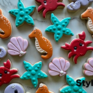 12 under the sea sugar cookies, sea cookies, sea shells