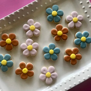 12 mini daisies sugar cookies/ groovy flowers/ Daisy cookies/ retro daisies