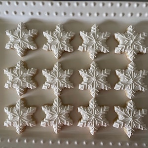 12 Snowflake sugar cookies/ winter wonderland/ winter cookies