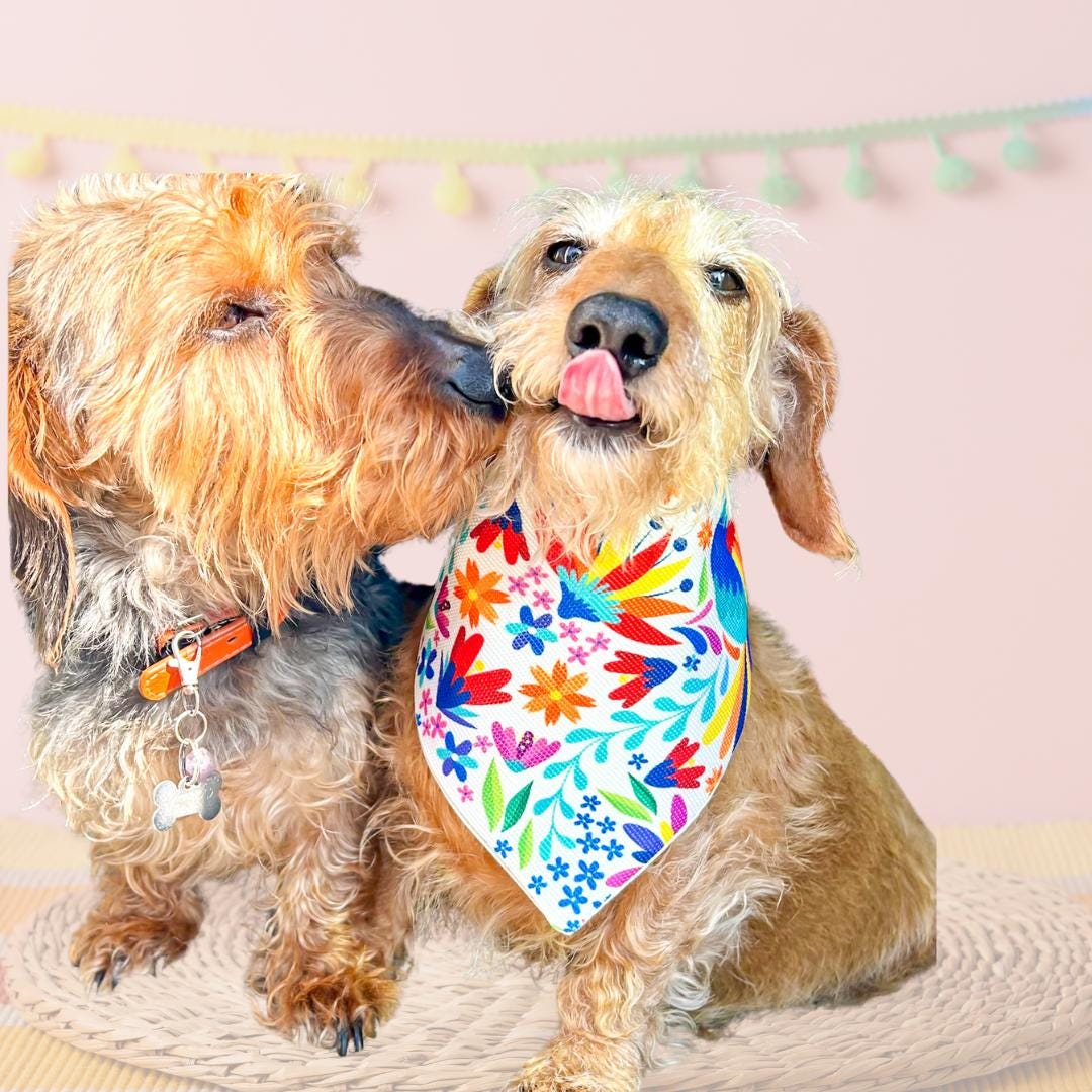 Etsy custom dog bandanas hot sale