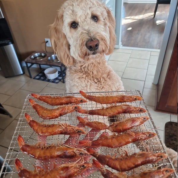Charlie's Treats | Air Dried Large Shrimp | 8 pieces | Natural Single Ingredient dog treats