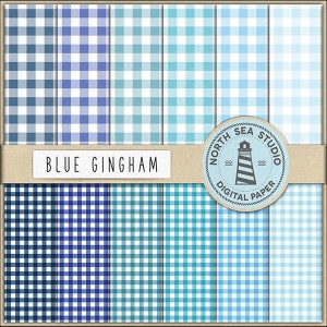 Picnic party / carta gingham blu / pacchetto di carta digitale / sfondi stampabili / 12 jpg, file 300dpi