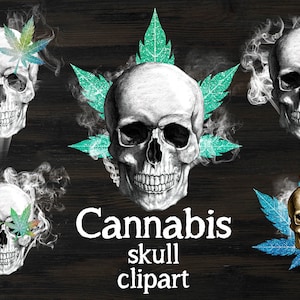 以下が含まれることがあります： マリファナの葉が付いた頭蓋骨のデジタルイラストが5つ。頭蓋骨は様々なポーズで、葉の色もそれぞれ異なります。画像の下には「Cannabis skull clipart」というテキストがあります。