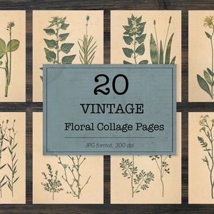 Piante vintage, classici effimeri, immagini floreali stampabili, pezzi di collage di erbari, carta digitale vintage art, vecchie erbe e rami di piante